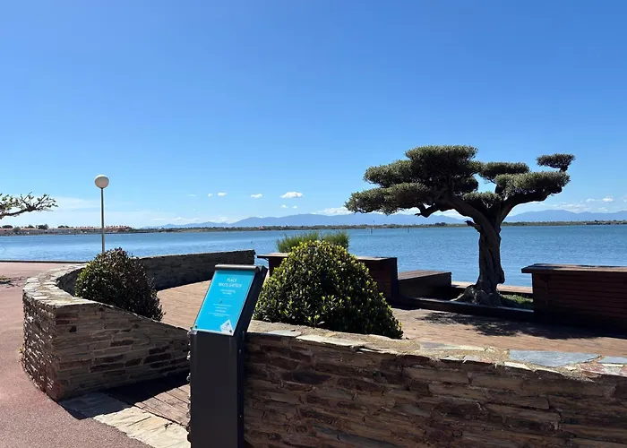 Cozy In Cap Coudalere, And Pool View, 4 People Διαμέρισμα Le Barcarès